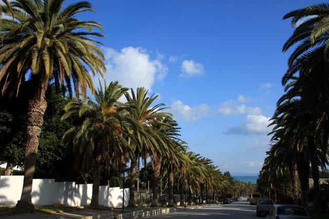 20090130_tunisiatrip_24_carthago1